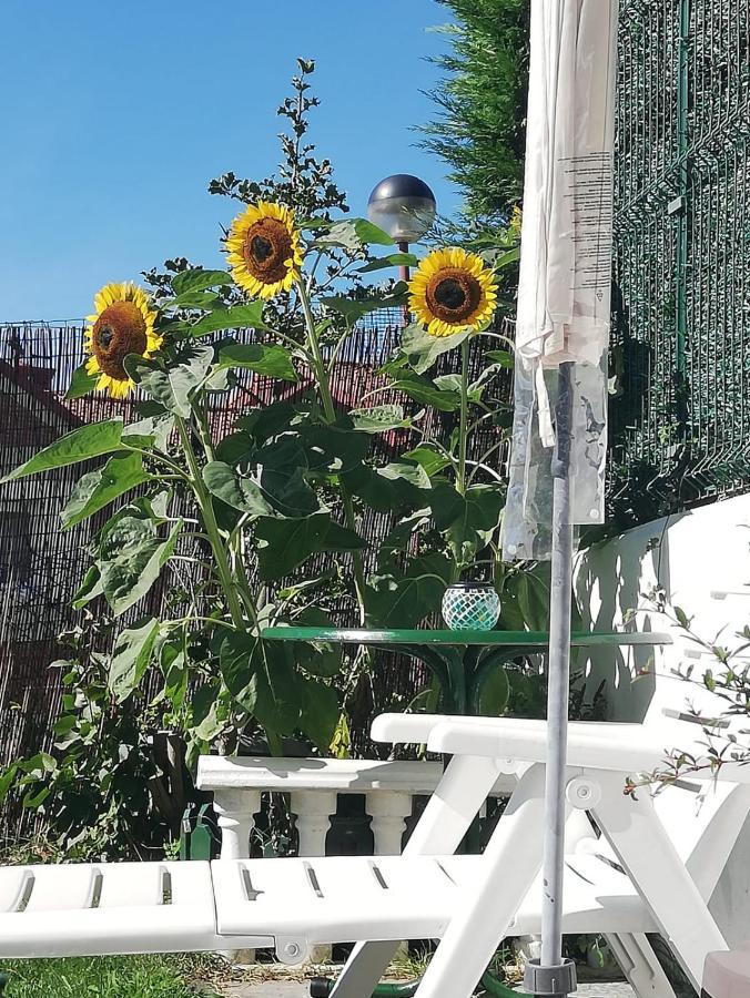 Apartamento Duplex Con Vistas Al Mar Los Girasoles 莫格罗 外观 照片